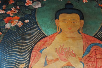 Study buddhism shakyamuni buddha