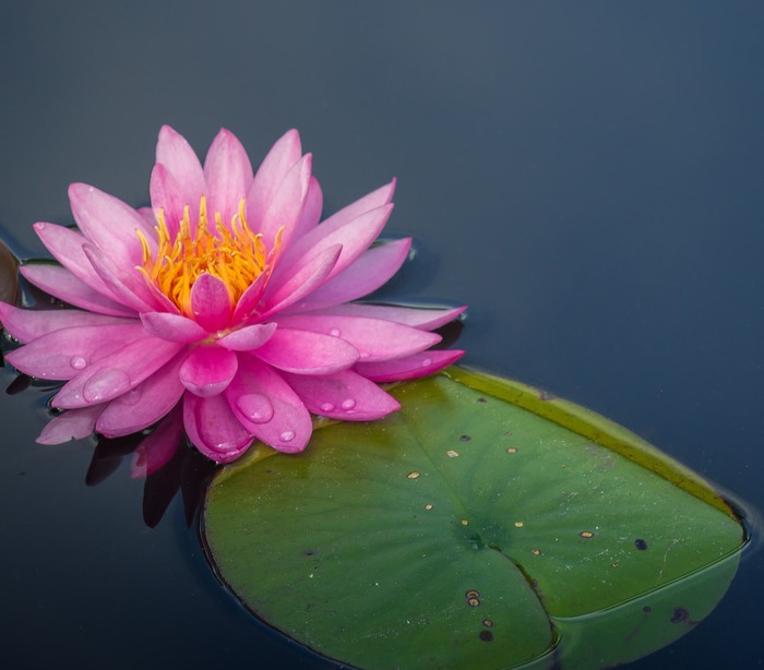 How to meditate alfred schrock unsplash