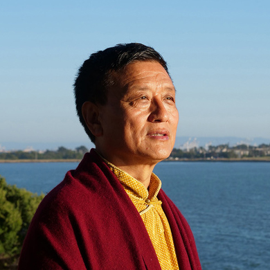 Tenzin Wangyal Rinpoche