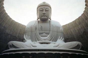 Tiangexiangiv0ewav33gaunsplash large